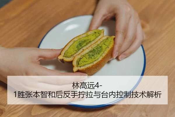 林高远4-1胜张本智和后反手拧拉与台内控制技术解析