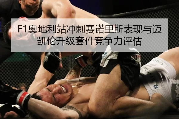 F1奥地利站冲刺赛诺里斯表现与迈凯伦升级套件竞争力评估